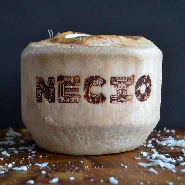 Necio Mexican Kitchen - Updated 2026, Mexican Restaurant in Denver, CO