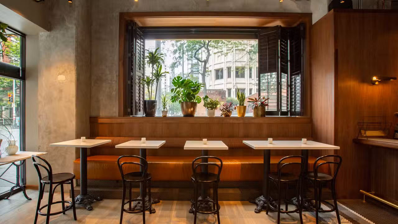 Interior - Bar Taglio, Seattle, WA