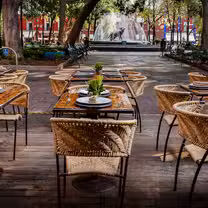 A photo of Los Danzantes - Mexico City restaurant