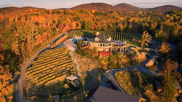 A photo of Wolf Mountain Vineyards restaurant