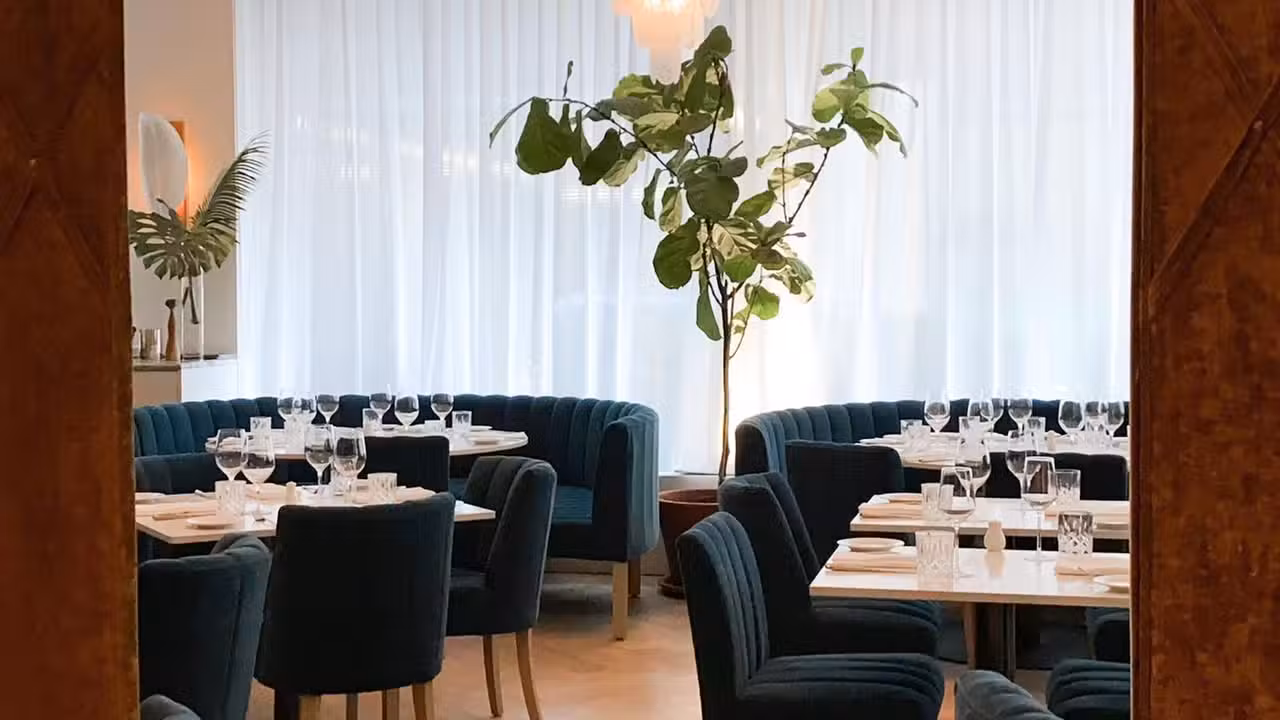 Binnenkant - Carisma, Toronto, ON