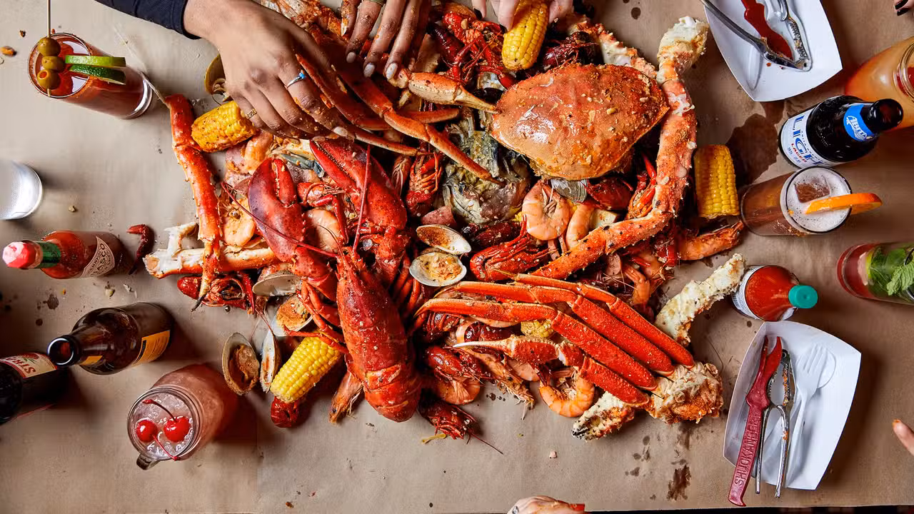 The Boil，NYNew York