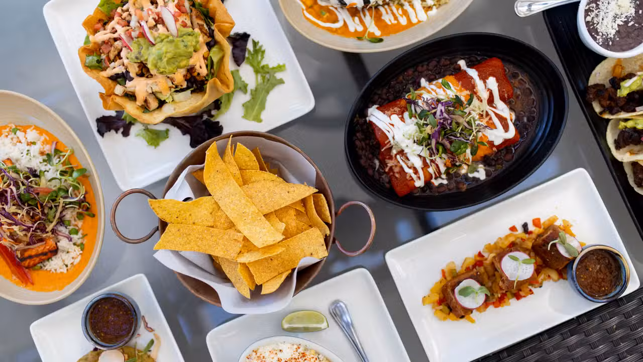 Food - Mextizo Restaurant & Cantina, San Jose, CA