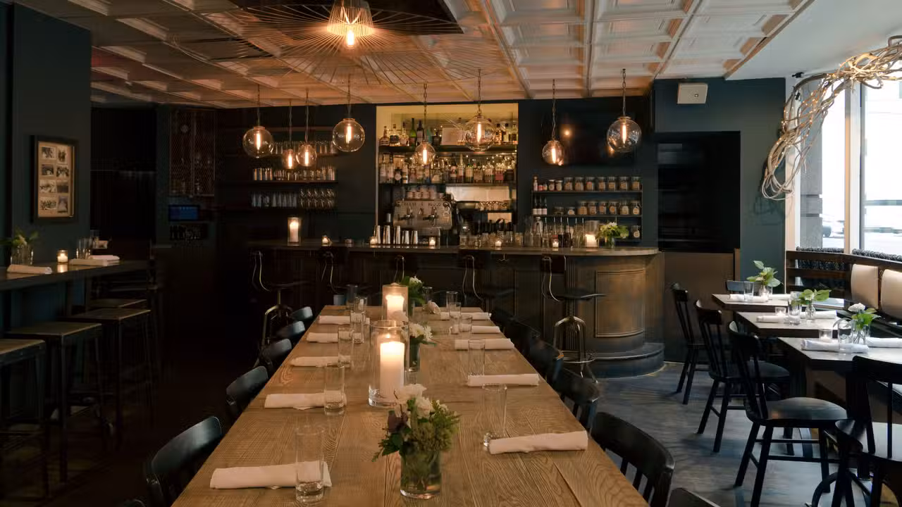 The Blue Dog Cookhouse And Bar, New York, NY