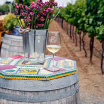 A photo of Vinos Lechuza restaurant