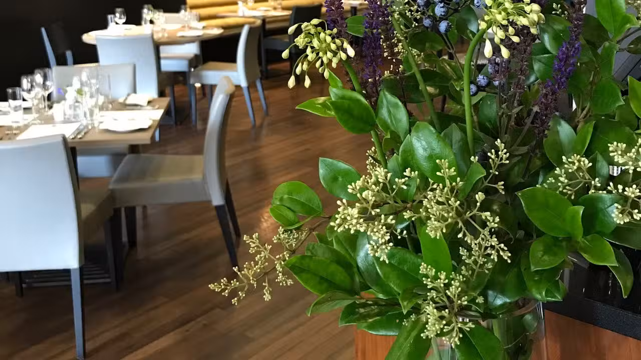 Interior - Opus Restaurant, Birmingham, West Midlands