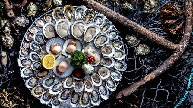 Fanny Bay Oyster Bar & Shellfish Market — photo via OpenTable