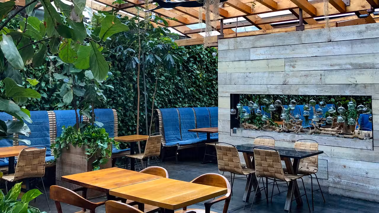 Interior - Hinoki & The Bird, Los Angeles, CA