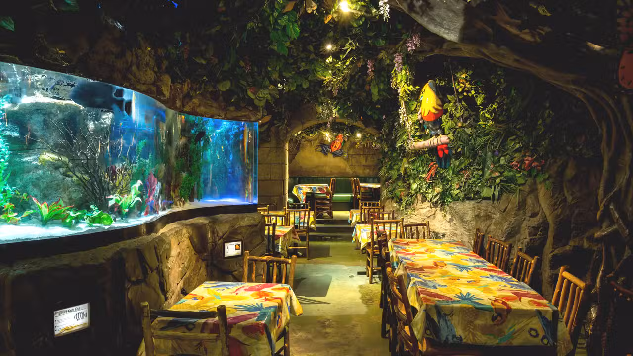 Jungle Cave, London, 