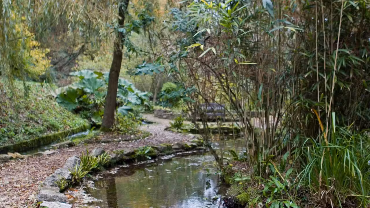 Upwey Wishing Well, Weymouth, ENG