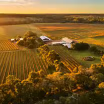 A photo of Cullen Wines Biodynamic Wine Room restaurant