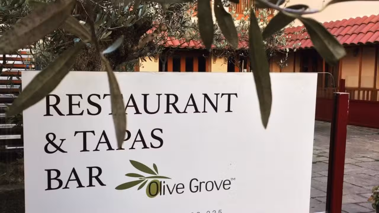 Olive Grove, Brighton, East Sussex