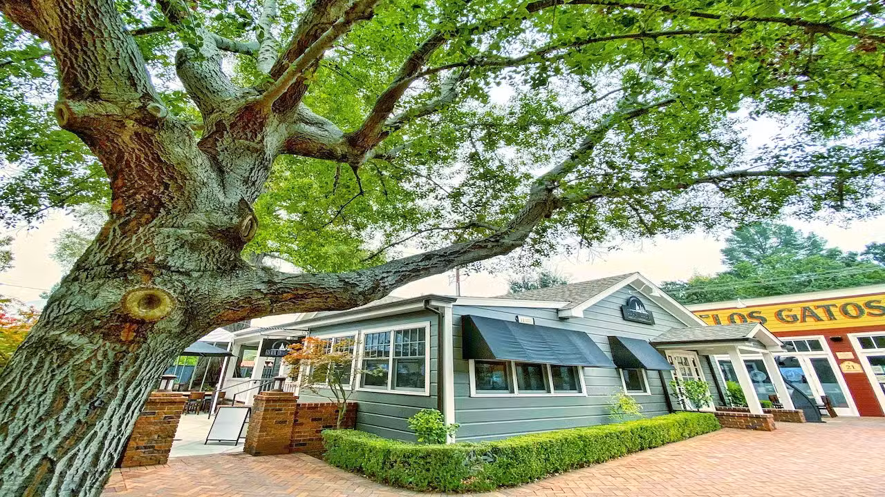 Exterior - Eleven College Ave, Los Gatos, CA