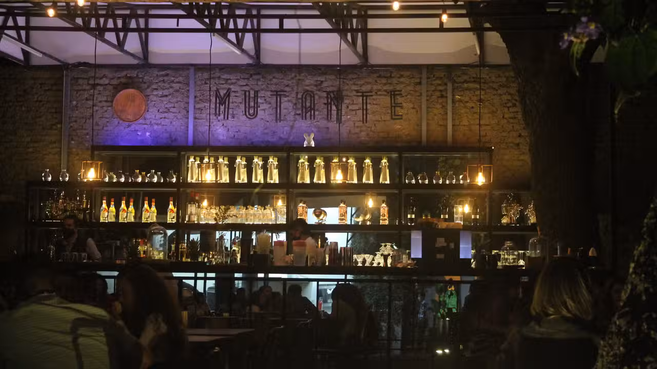 Interior - Mutante, Guadalajara, JAL