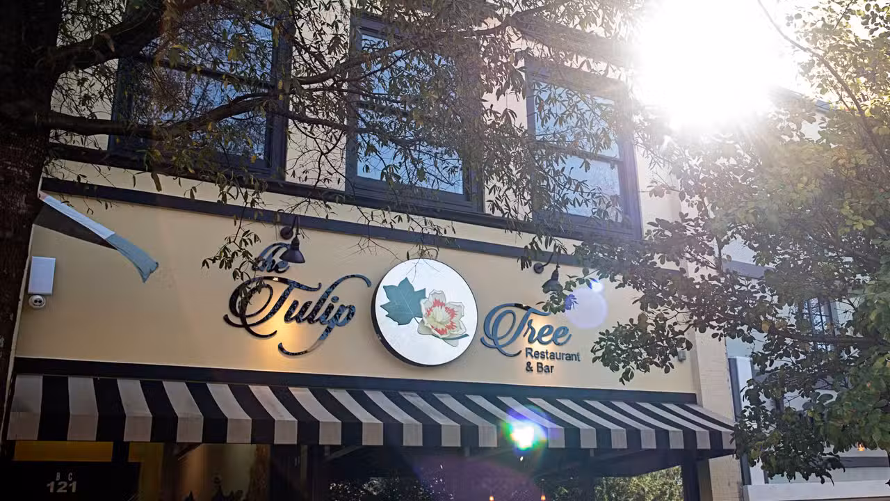 The Tulip Tree, Spartanburg, SC