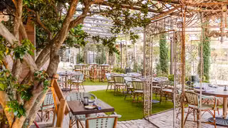 Elisabetta's Ristorante- West Palm Beach餐廳的相片