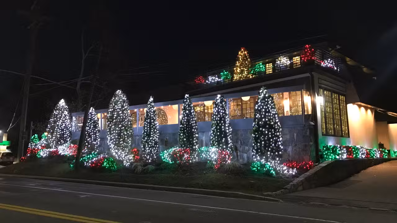 Tutta Bella - Tutta Bella, Scarsdale, NY