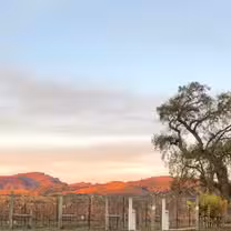 Una foto del restaurante Loxton Cellars