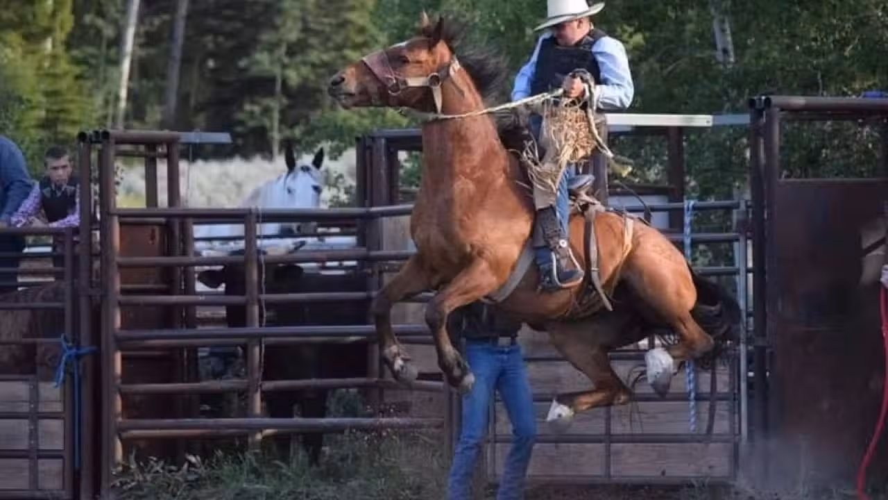 Meadow Vue Ranch, Island Park, ID