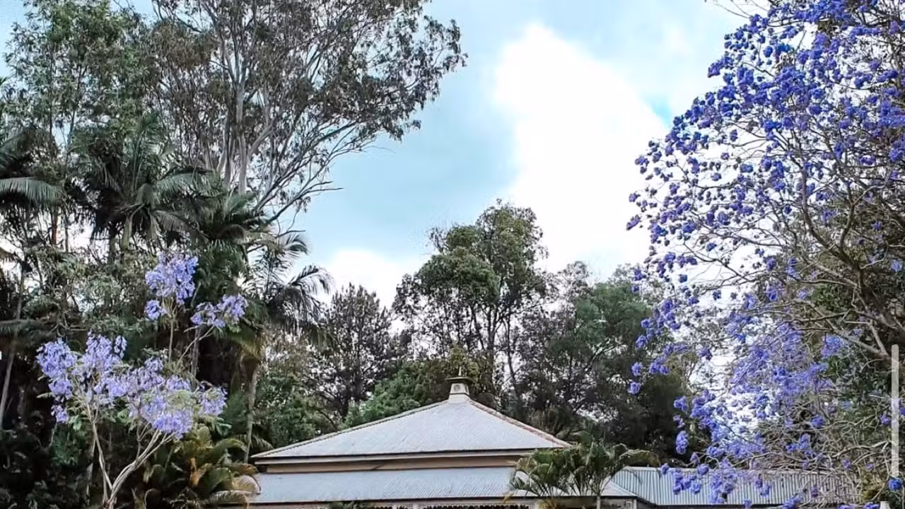 Exterior - Bon AppeTea, Mudgeeraba, AU-QLD