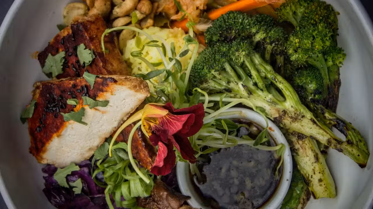 Food - Plant Vegan Restaurant, Asheville, NC