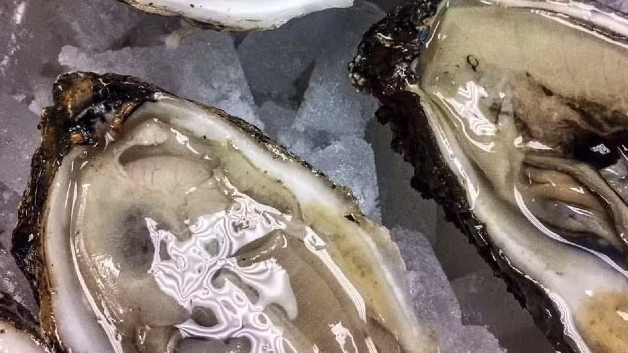 Comida - Off The Hook Seafood & Chophouse - Norfolk, Norfolk, VA