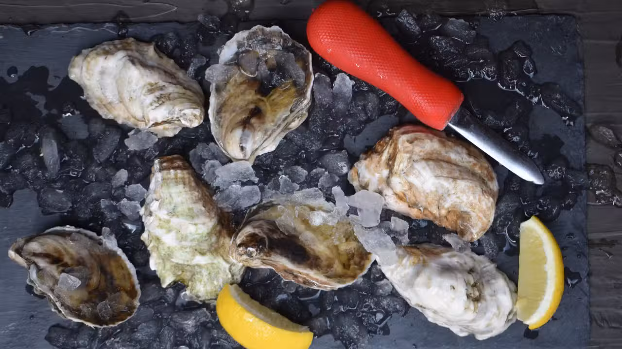 Eten - Fin Point, Boston, MA