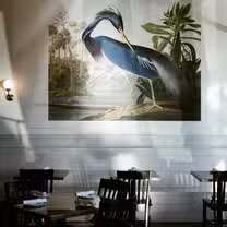 Una foto del restaurante Eliza
