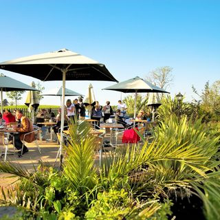 O&rsquo;Callaghan&rsquo;s Bar and Terrace