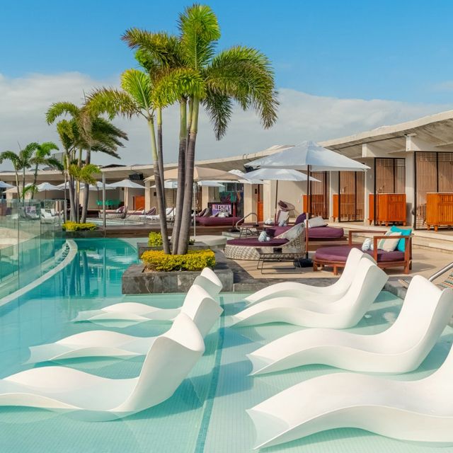 Alessia Rooftop - Updated 2026, American Restaurant in Playa del Carmen ...