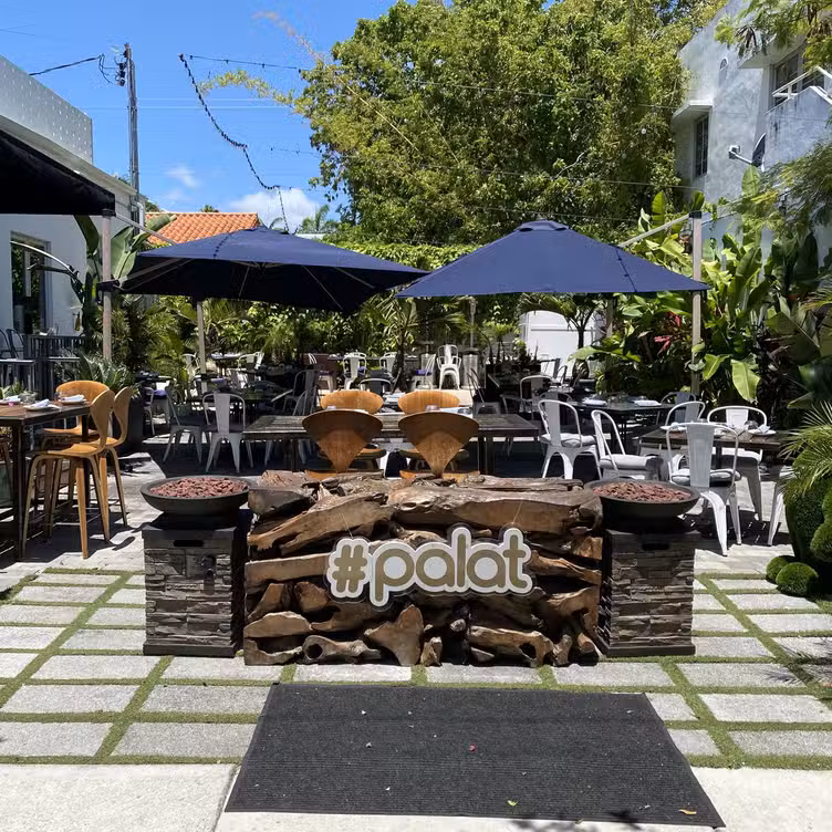 Palat, Miami, FL