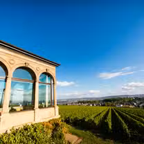 A photo of Burg Restaurant Schwarzenstein restaurant