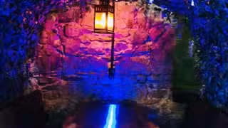A photo of Enchanted Forest Dining Experience restaurant