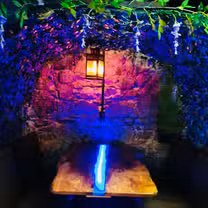 A photo of Enchanted Forest Dining Experience restaurant