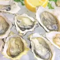 A photo of Dive Oyster House restaurant