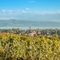 A photo of Gasthaus Brauerei Max & Moritz restaurant