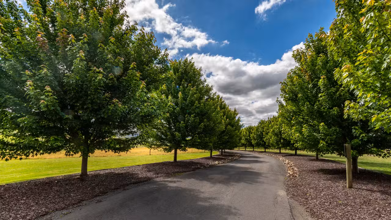 Our outlook from the Cellar Door - Warramunda Estate, Coldstream, AU-VIC
