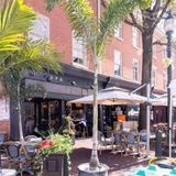 Cover image for Opa Taverna