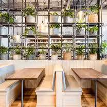 A photo of Spirit Elephant restaurant