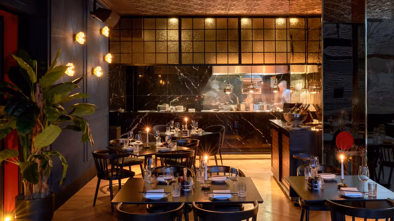 Golden Phoenix, Berlin, BE
