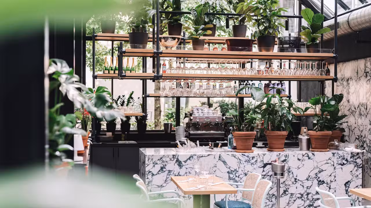 Elaine's Greenhouse, Frankfurt am Main, HE