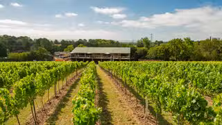 Una foto del restaurante Bolney Wine Estate Ltd