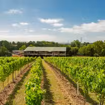 A photo of Bolney Wine Estate Ltd restaurant