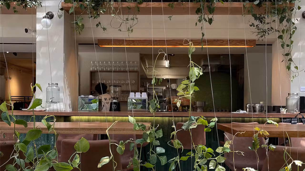 Interior - BAM BAM PIZZA, Ciudad de México, CDMX