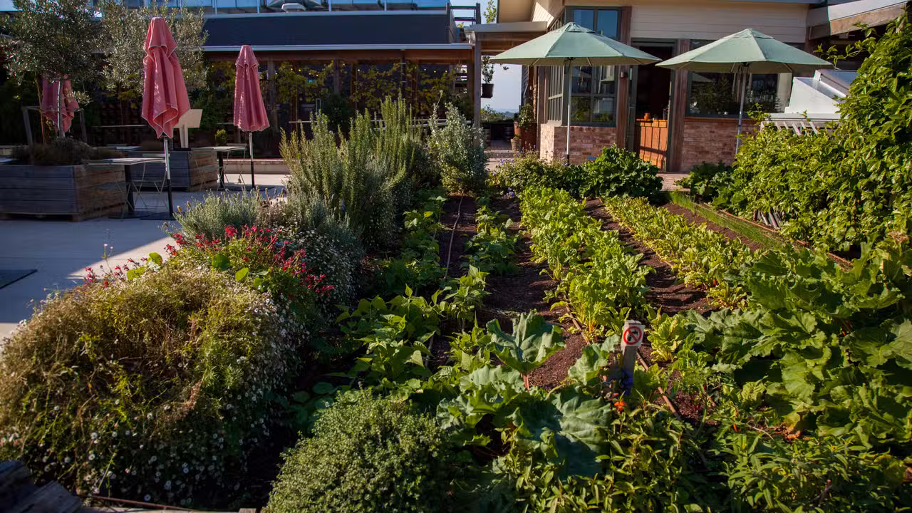 Exterior - acre farm & eatery - Melbourne, Burwood East, AU-VIC