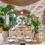 Cover image for Amal Miami