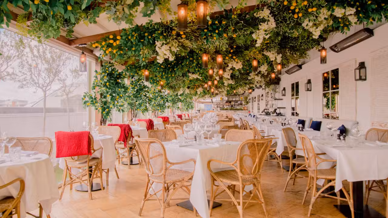 Interior - Alto by San Carlo, London, 