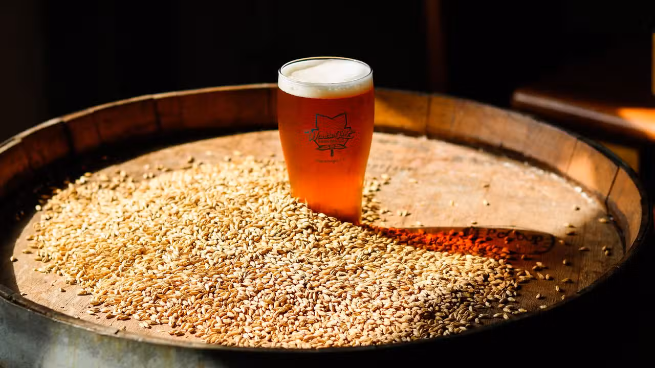 Drankjes - Wanderlinger Brewing Company, Chattanooga, TN