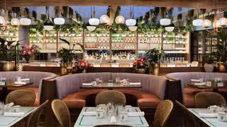 A photo of Sadelle's at Coconut Grove restaurant