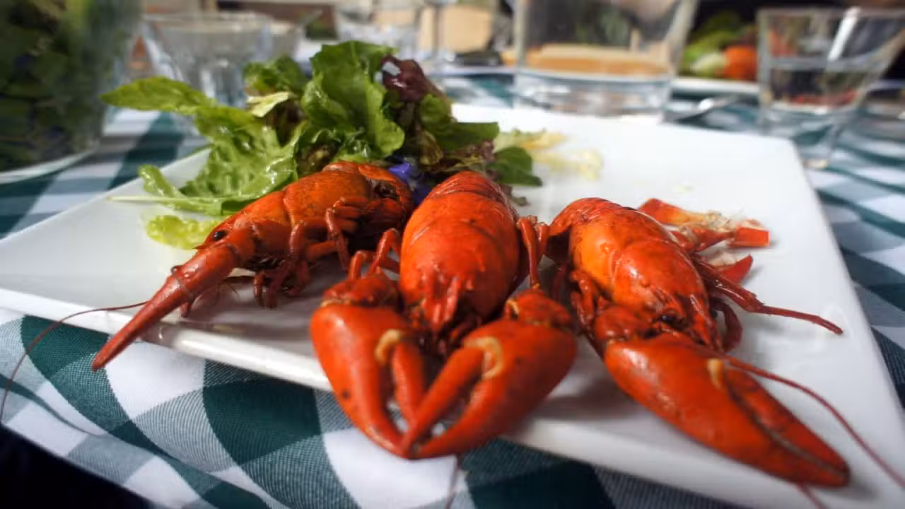 Food - Crayfish Bob's Louisiana Crawfish Boil, London, Greater London